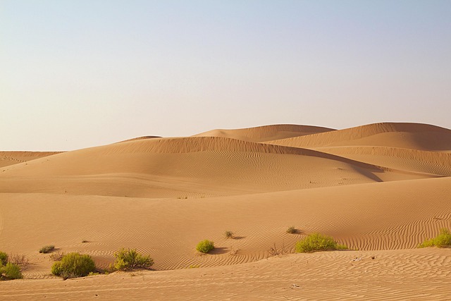 Abu Dhabi 9