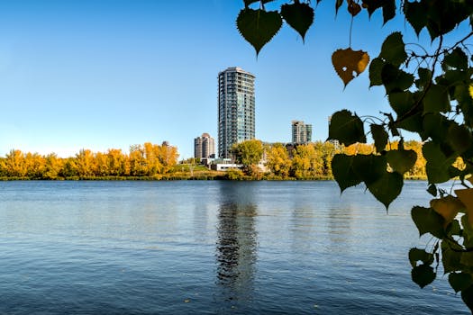 Montreal 3
