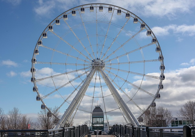 Montreal 6
