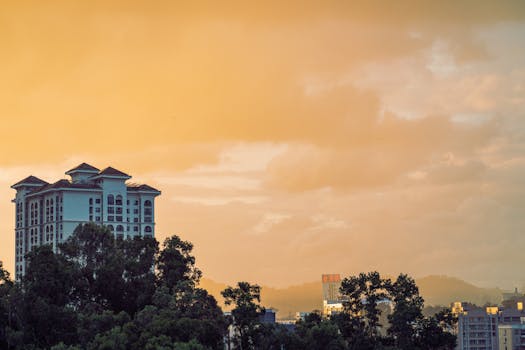 Shenzhen 11