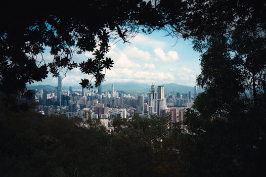 Shenzhen 5
