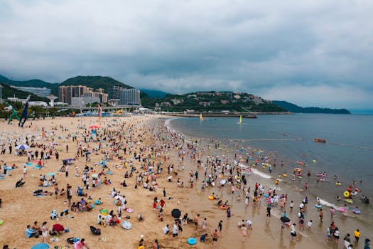 Shenzhen 9