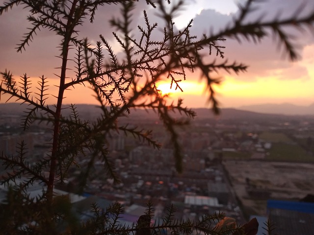 بوگوتا 3