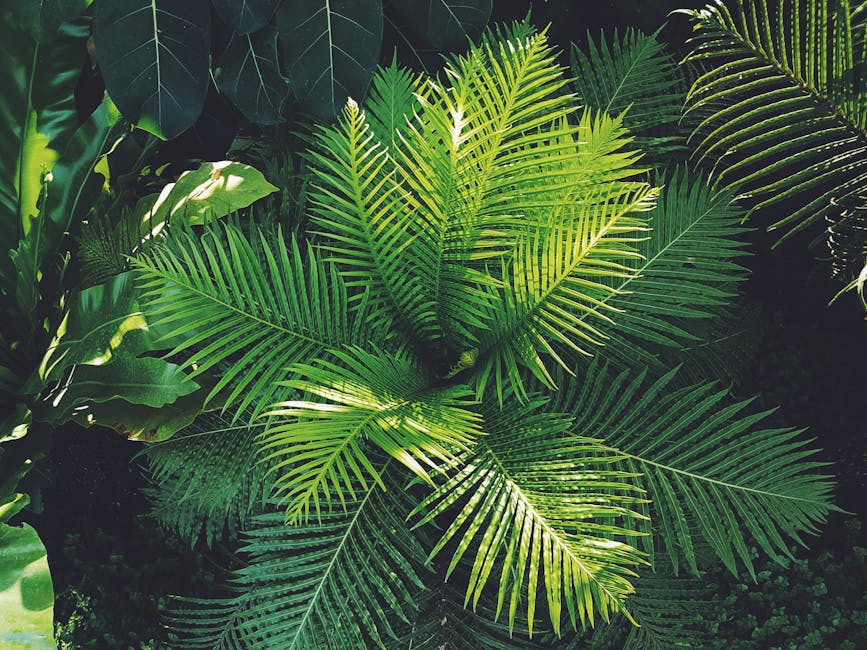 برلین 3