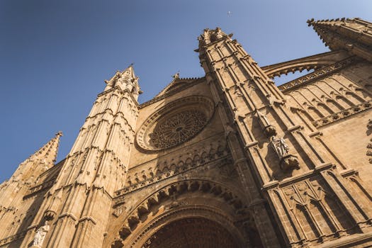 Palma 10
