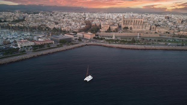 Palma 2