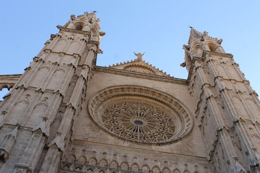 Palma 12