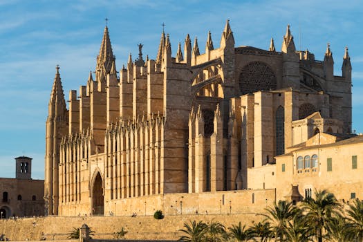 Palma 8