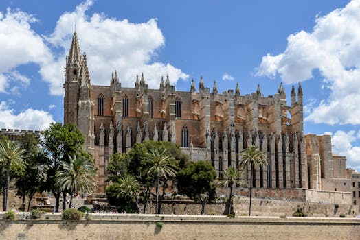 Palma 11