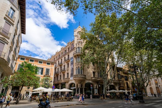 Palma 3