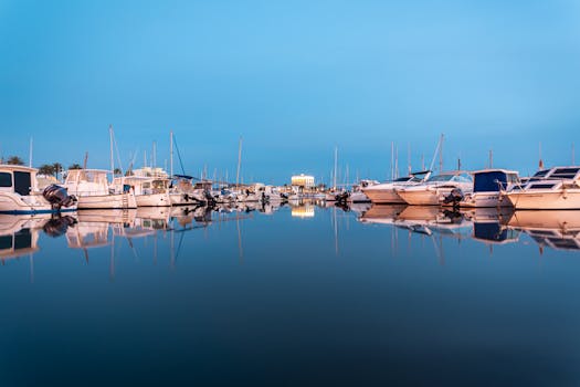 Palma 4