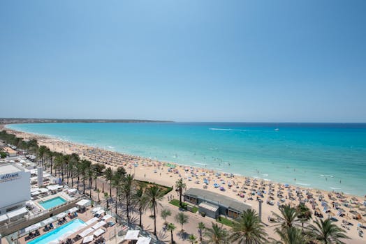 Palma 9