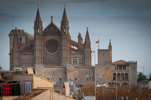 Palma 5