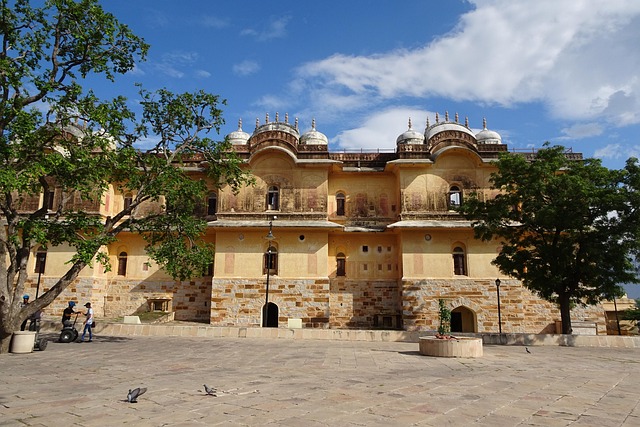 Jaipur 11