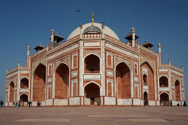 Delhi 7