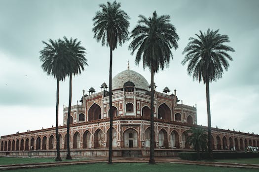 Delhi 3