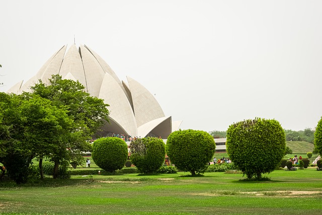 Delhi 12