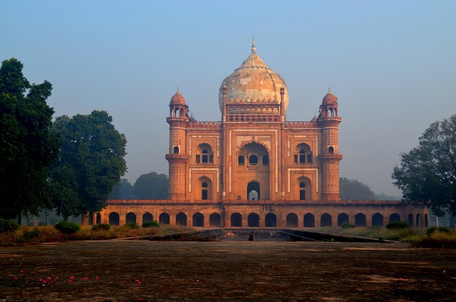 Delhi 11