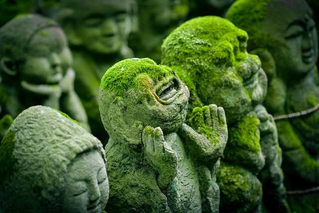 Kyoto 11