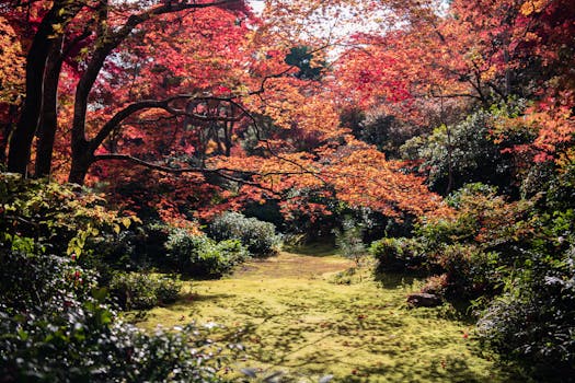 Kyoto