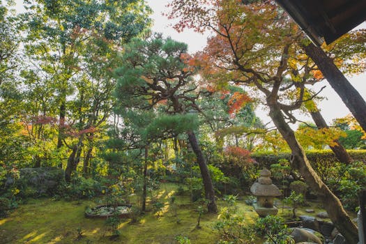 Kyoto 10