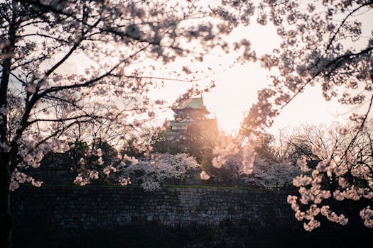 Osaka 7