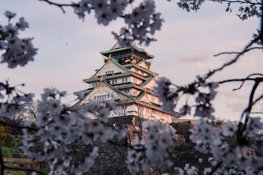 Osaka 5