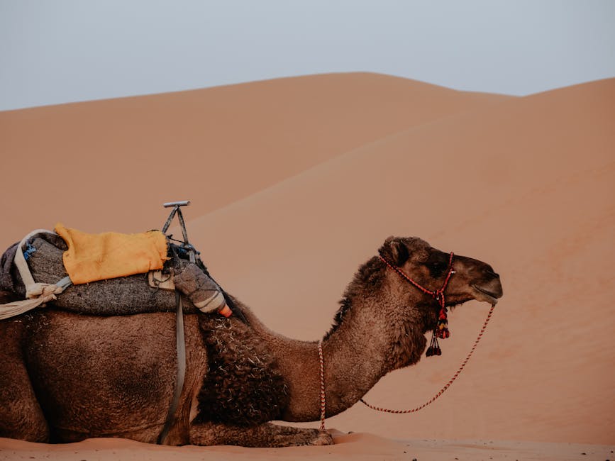Marrakech 6