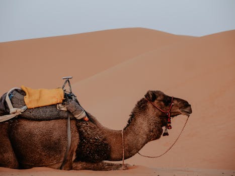 Marrakesch 5