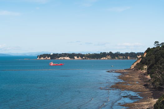 Auckland 5
