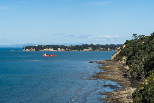 Auckland 3