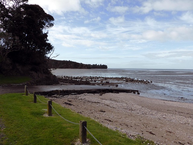 Auckland 10