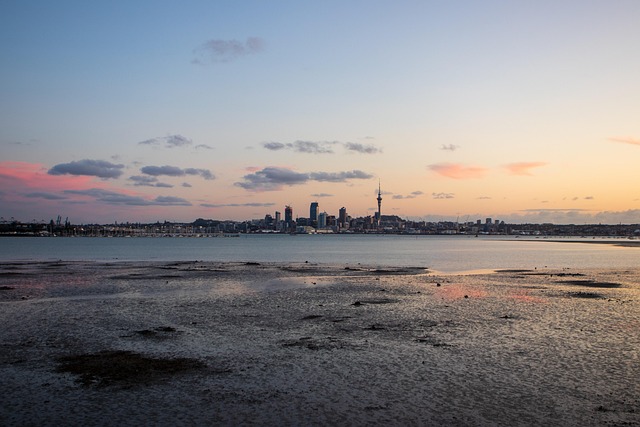 Auckland 8