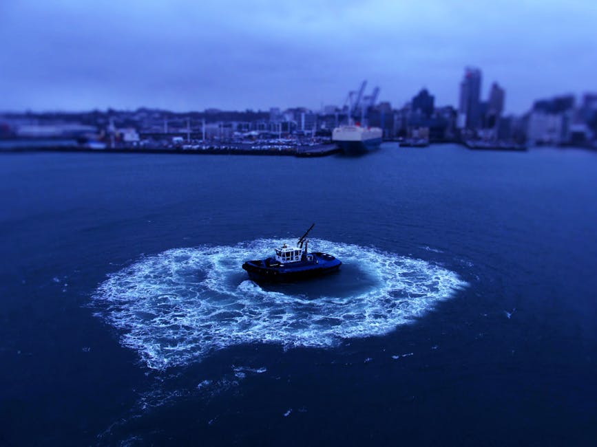Auckland 6