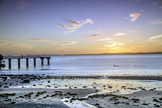Auckland 7