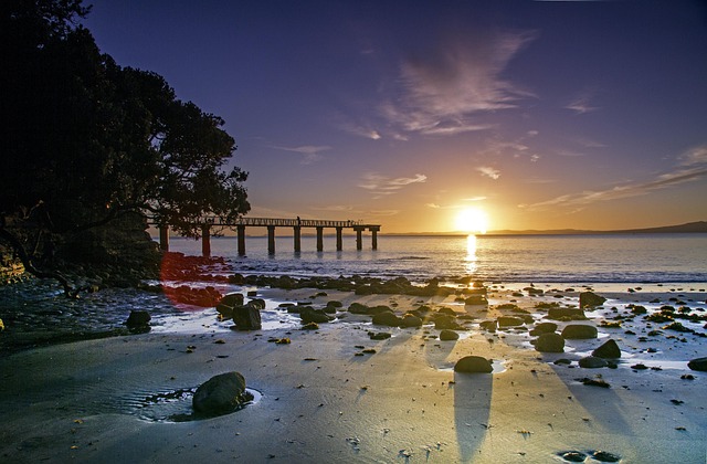 Auckland 12