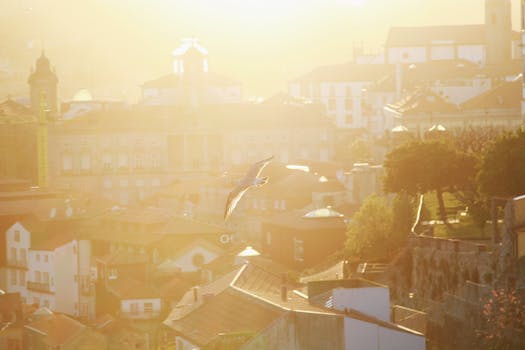 Porto 4