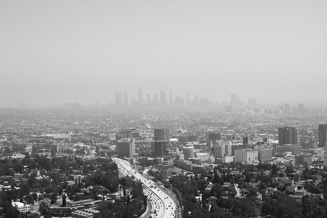 Los Angeles 3