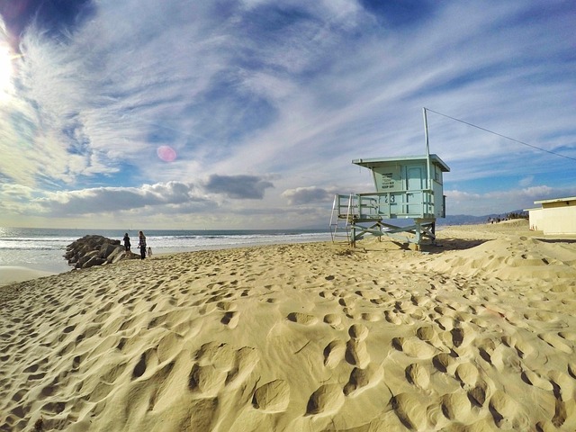 Los Angeles 7