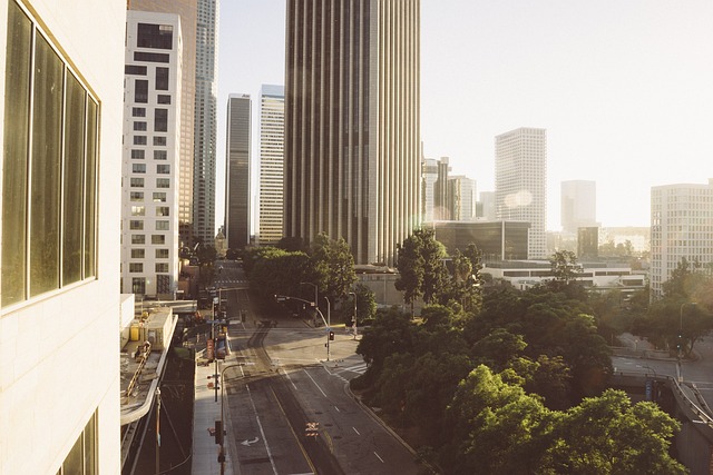 Los Angeles 6
