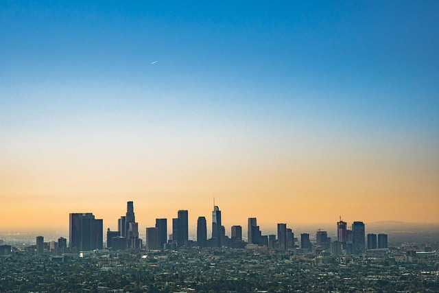 Los Angeles 11