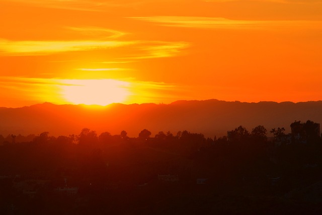 Los Angeles 12