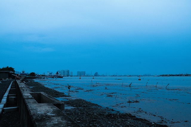 Ho Chi Minh City 3
